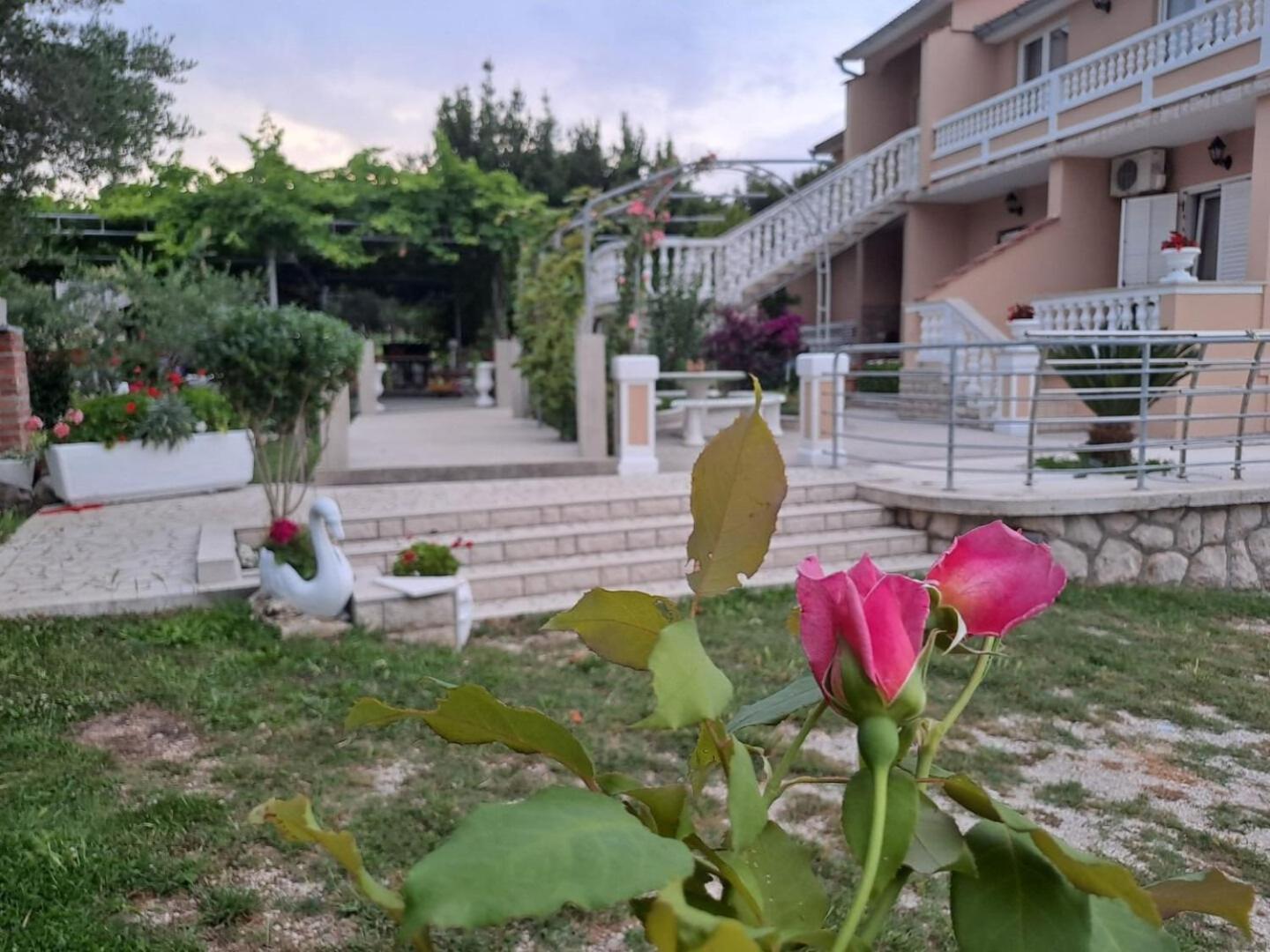 Apartments Mig - With Beautiful Garden Supetarska Draga Eksteriør billede