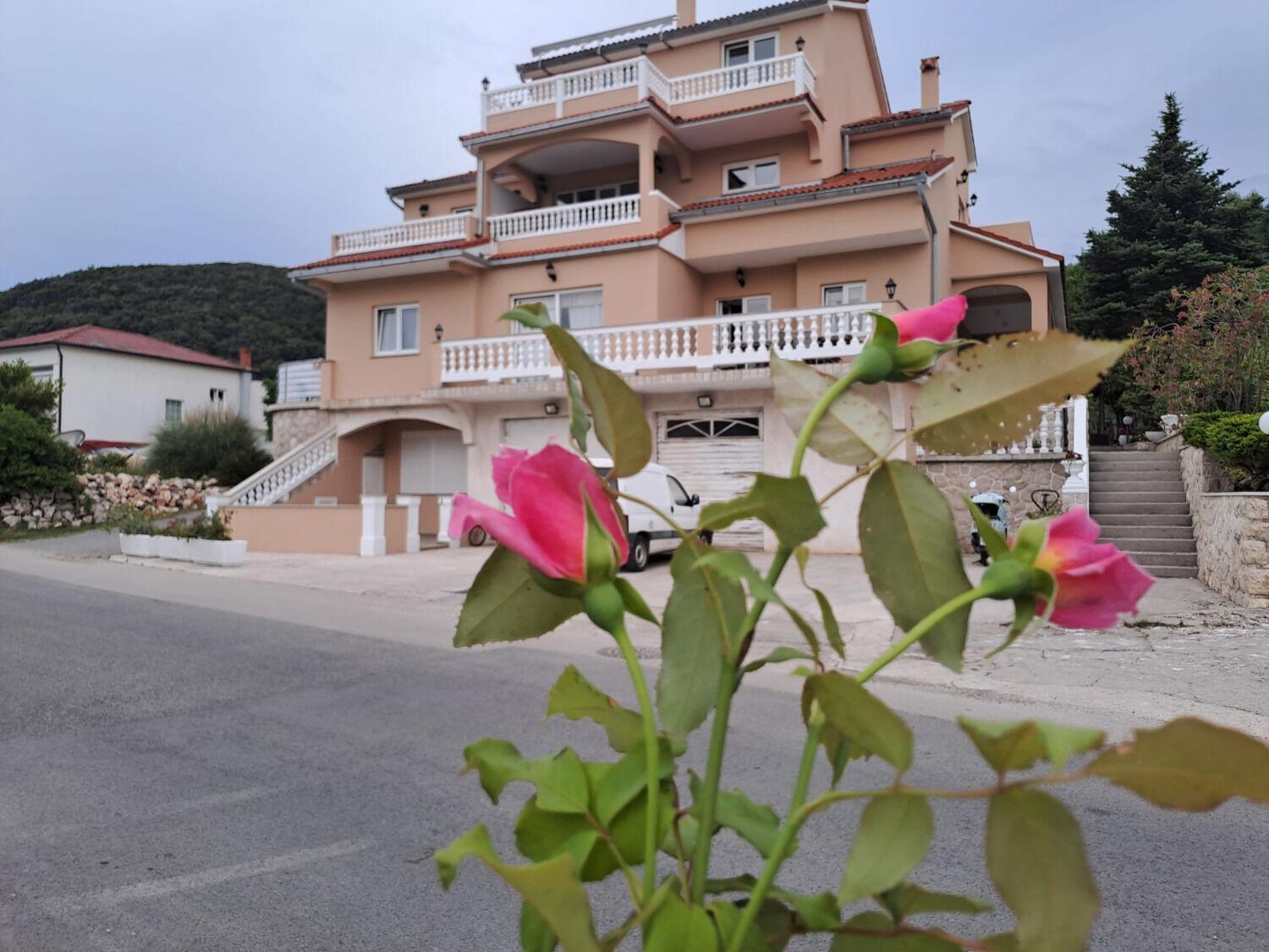Apartments Mig - With Beautiful Garden Supetarska Draga Eksteriør billede